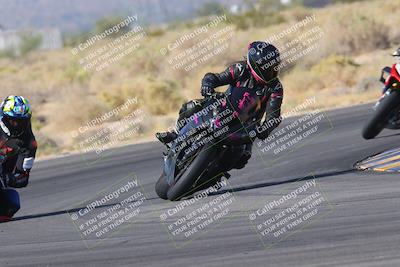 media/Nov-11-2023-SoCal Trackdays (Sat) [[efd63766ff]]/Turn 16 (11am)/